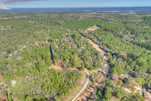 300 L Green Rd, Cleveland, TX 77328 - Photo 39
