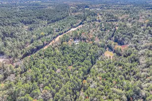 300 L Green Rd, Cleveland, TX 77328 - Photo 35