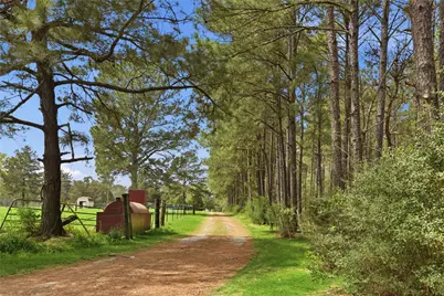 872 Four Notch Road, Huntsville, TX 77340 - Photo 5