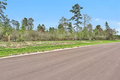 168 Great Plains Way, New Waverly, TX 77358 - Photo 11