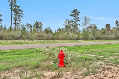 168 Great Plains Way, New Waverly, TX 77358 - Photo 5
