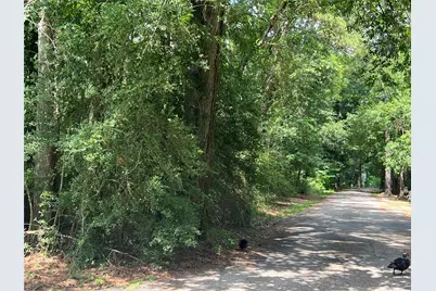 Tbd Jimima Blvd, New Caney, TX 77357 - Photo 13