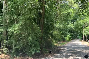 Tbd Jimima Blvd, New Caney, TX 77357 - Photo 13