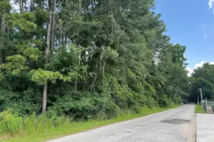 Tbd Jimima Blvd, New Caney, TX 77357 - Photo 7