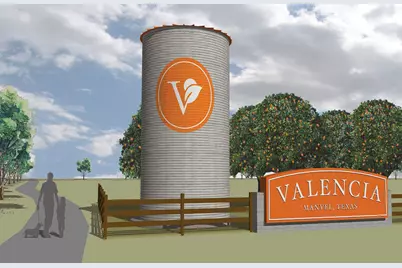 6126 Clementine Zest Drive, Manvel, TX 77578 - Photo 3