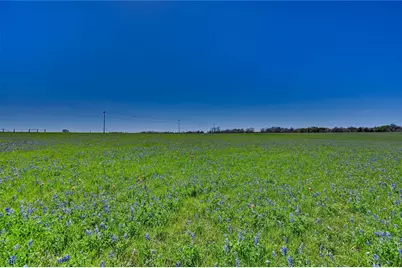 Tbd Fm 2, Navasota, TX 77868 - Photo 3