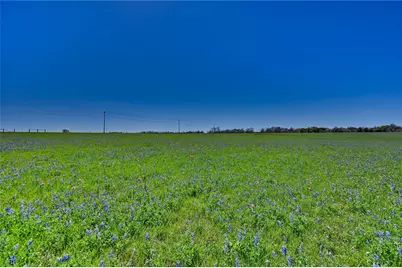 Tbd Fm 2, Navasota, TX 77868 - Photo 3
