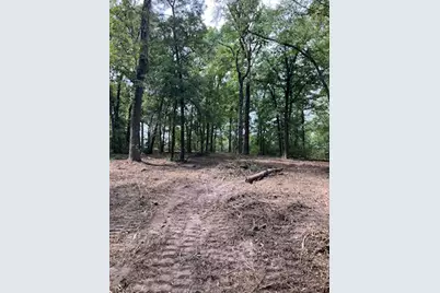 400 Pine Forest Acres, Trinity, TX 75862 - Photo 3