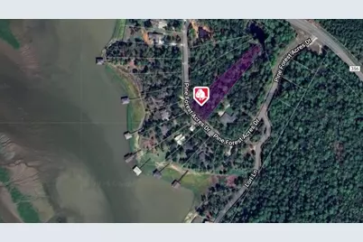 400 Pine Forest Acres, Trinity, TX 75862 - Photo 11