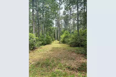 Tbd Lone Star Rd, Navasota, TX 77868 - Photo 5