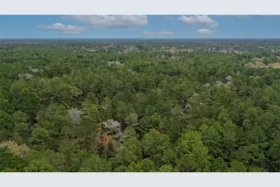 Tbd Lone Star Rd, Navasota, TX 77868 - Photo 9