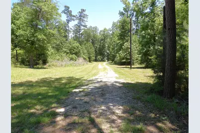 345 Cr 1080, Kennard, TX 75847 - Photo 5
