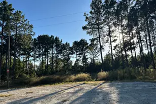 Tract 12 Fm 230, Lovelady, TX 77854 - Photo 1