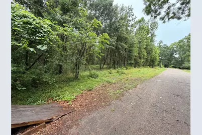 5265 Pecan Tree Lane, Montgomery, TX 77316 - Photo 7