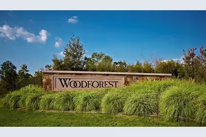 343 E Coralburst Loop, Montgomery, TX 77316 - Photo 43