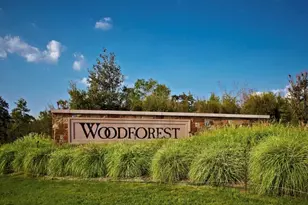 343 E Coralburst Loop, Montgomery, TX 77316 - Photo 43