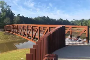 343 E Coralburst Loop, Montgomery, TX 77316 - Photo 49