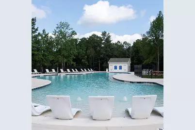 343 E Coralburst Loop, Montgomery, TX 77316 - Photo 45