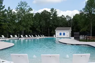 343 E Coralburst Loop, Montgomery, TX 77316 - Photo 45