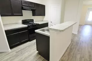 13150 Ingram Gap Ln, Houston, TX 77048 - Photo 3