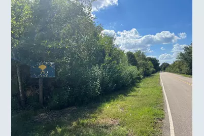 0 Cr 814 Road, Brazoria, TX 77422 - Photo 3