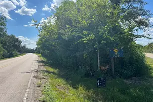 0 Cr 814 Rd, Brazoria, TX 77422 - Photo 1