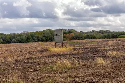 1250 Ladewig Lane - Tract 1, Flatonia, TX 78956 - Photo 17