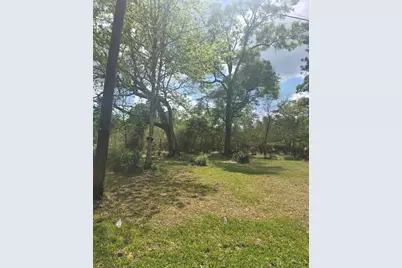 Tbd Peach Creek, New Caney, TX 77357 - Photo 3