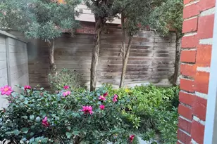 1807 Albans Rd, Houston, TX 77005 - Photo 35