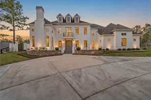 7226 Morningbrook Dr, Montgomery, TX 77316 - Photo 1