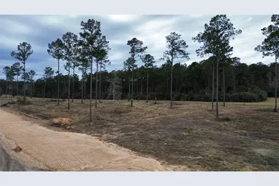0 Anna Grace, Livingston, TX 77351 - Photo 3