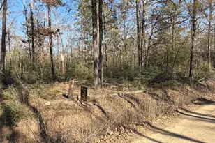 Tbd Wild Bird Ln, Livingston, TX 77351 - Photo 1