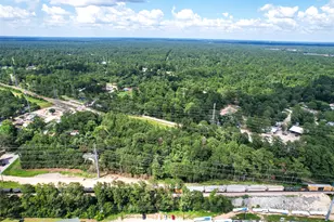 26028 Hardin Store Rd, Magnolia, TX 77354 - Photo 5