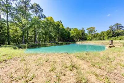 Lot 13 Spring Branch Road, Montgomery, TX 77316 - Photo 19