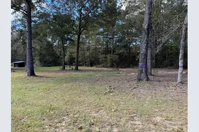 645 Deer Park Drive, Brookeland, TX 75931 - Photo 5