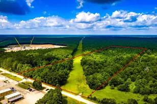 Tract 11 Pelican Rd, Shepherd, TX 77371 - Photo 1