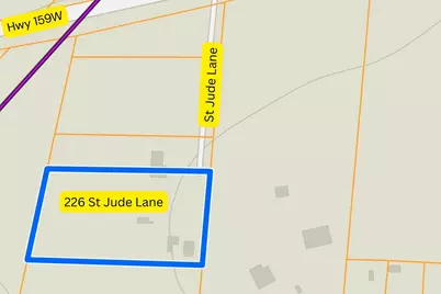 226 St Jude Lane, Bellville, TX 77418 - Photo 5