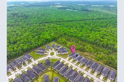 10598 Wild Chives, Conroe, TX 77385 - Photo 3