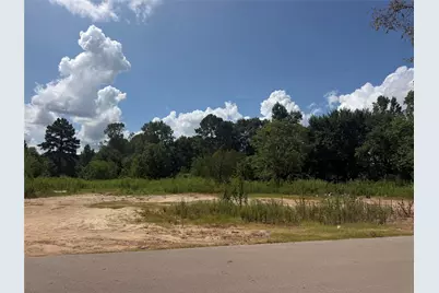 420 E Semands Street, Conroe, TX 77301 - Photo 9