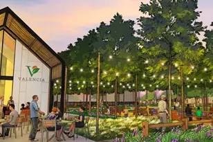 6226 Lush Pasture Ln, Manvel, TX 77578 - Photo 9