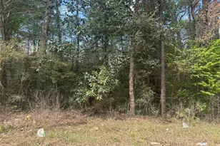 Tbd Big Foot Wallace Trail, Livingston, TX 77351 - Photo 1