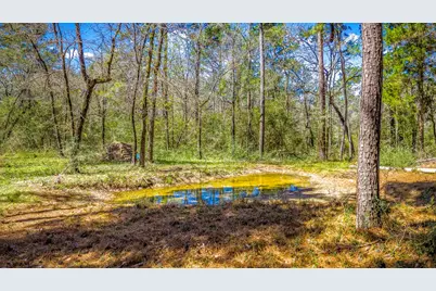 646 County Road 2100 N, Crockett, TX 75835 - Photo 47