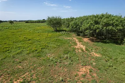 Tract 2 Cr 419, Bremond, TX 76629 - Photo 7
