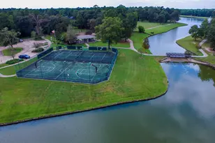 28217 Briarwood Pass, Spring, TX 77386 - Photo 49