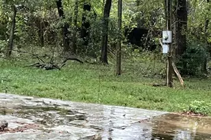 16539 Green Manor Dr, Houston, TX 77396 - Photo 7