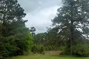 7636 FM 2799, Jasper, TX 75951 - Photo 15