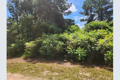 Lot 26 Mayhaw Lane, Plantersville, TX 77363 - Photo 5
