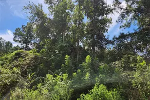 Lot 26 Mayhaw Ln, Plantersville, TX 77363 - Photo 1