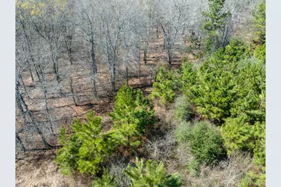 1 Bo Brown Road, Trinity, TX 75862 - Photo 13