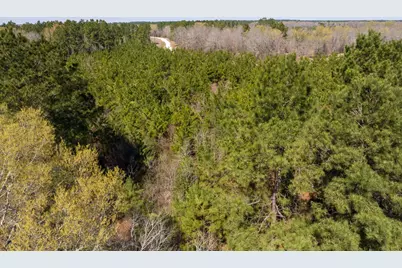 1 Bo Brown Road, Trinity, TX 75862 - Photo 9